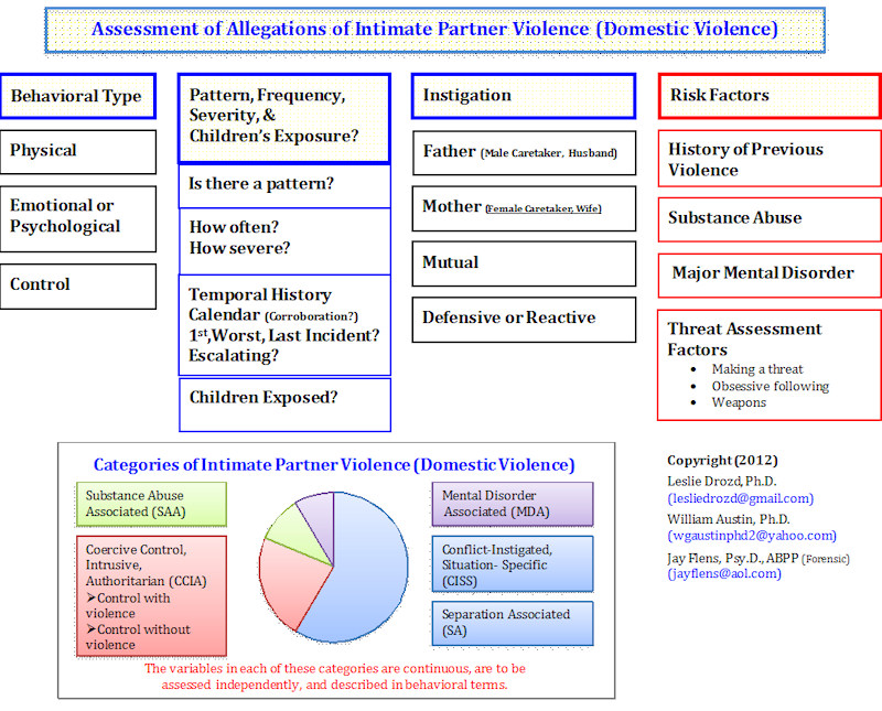 Intimate Partner Violence Forensic  Framework 